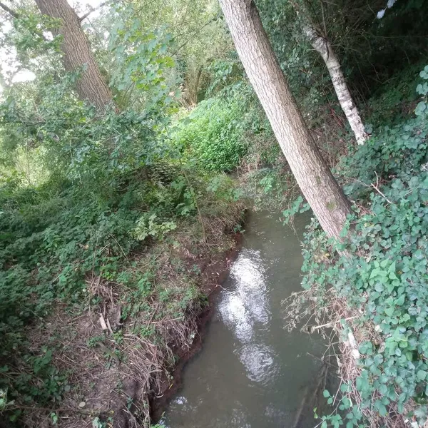 Image 10