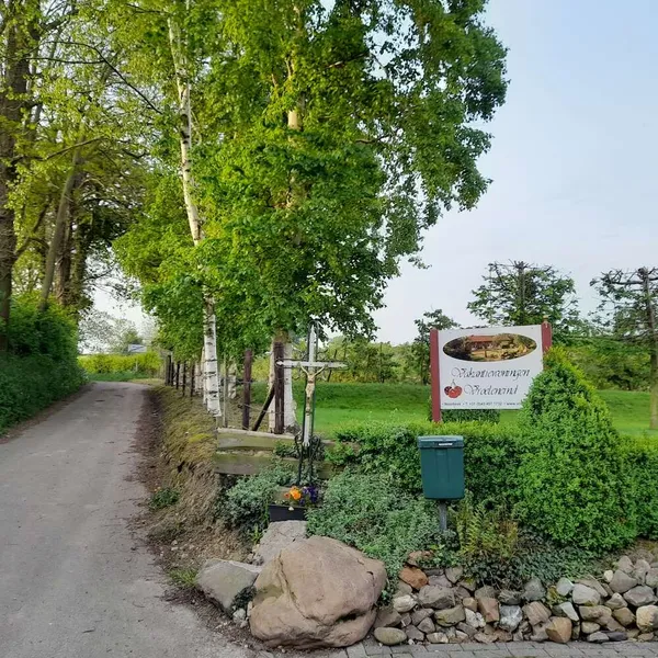 Image 10