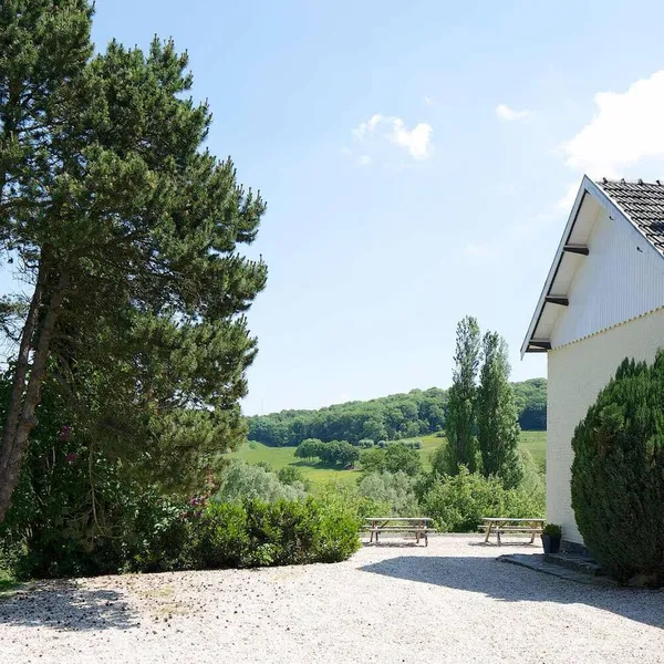 Image 6