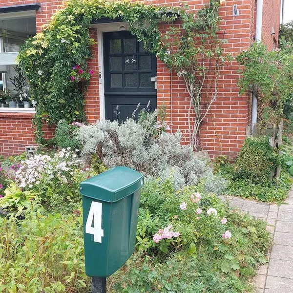 Foto 7
