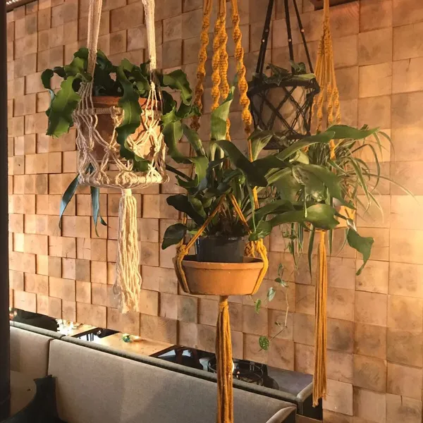 Foto 7