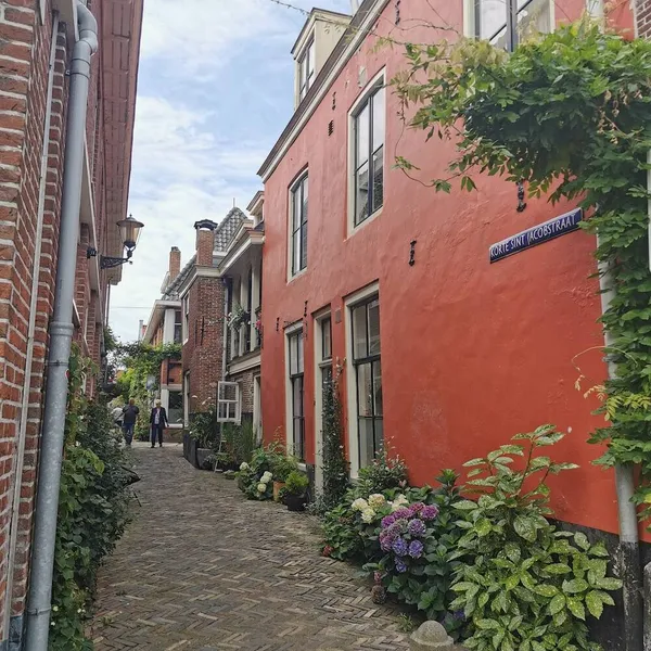 Image 8