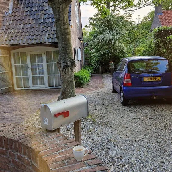 Image 6