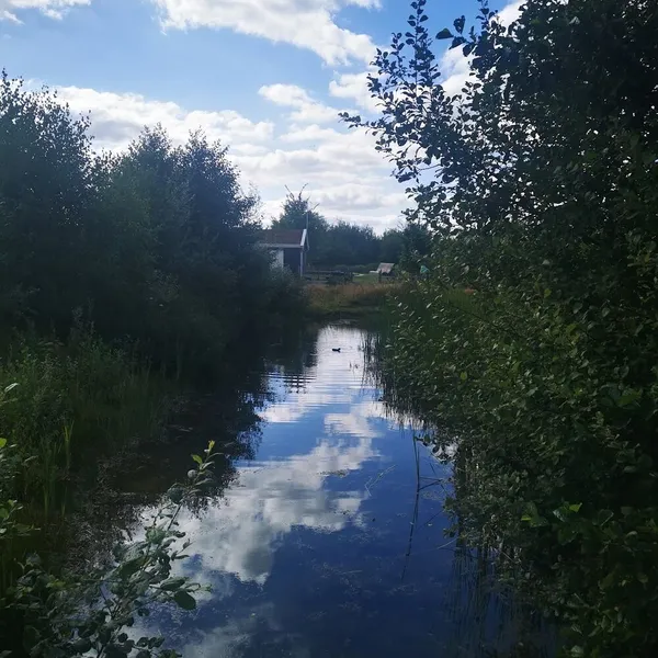 Image 10