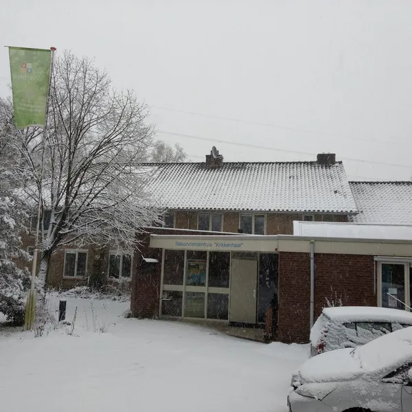 Image 6