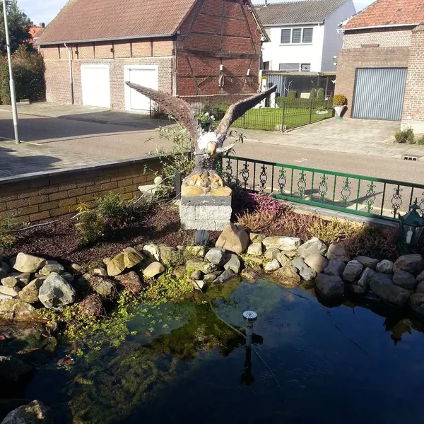 Image 10