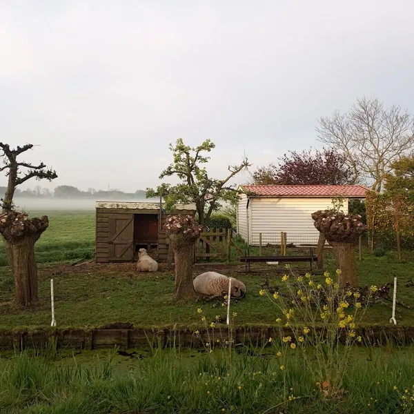 Image 10