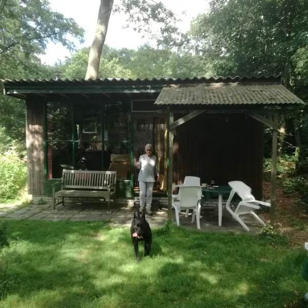 Foto 5