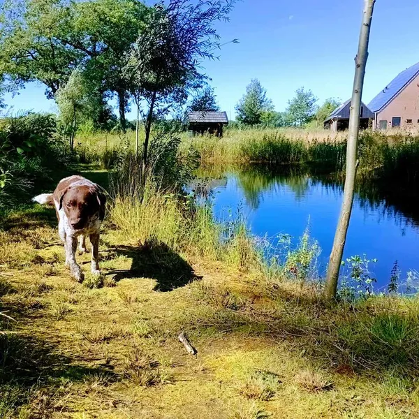 Foto 7
