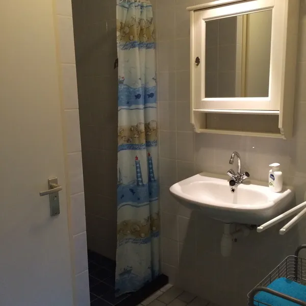 Image 8