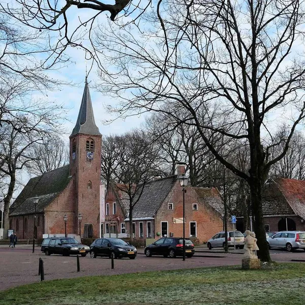 Image 8