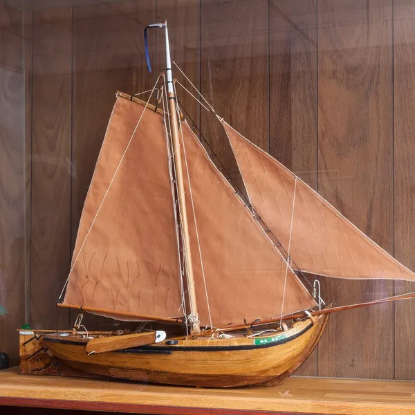 Image 7