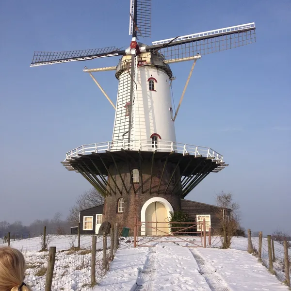 Foto 14
