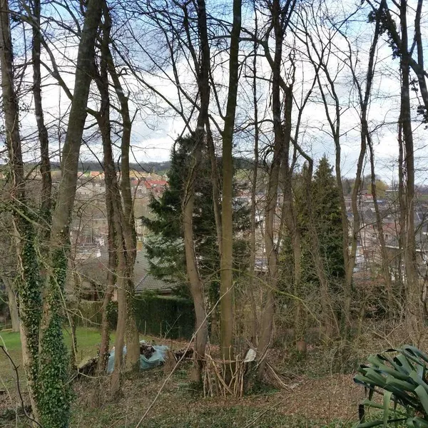 Image 9