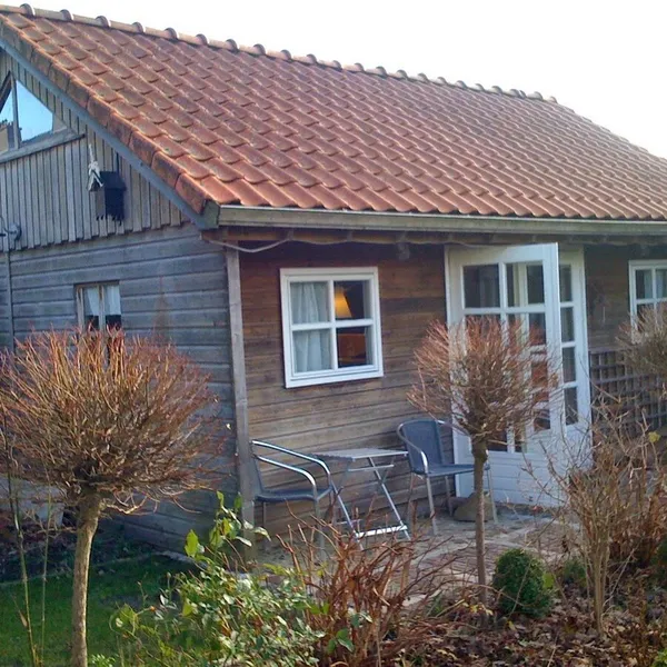 Image 8