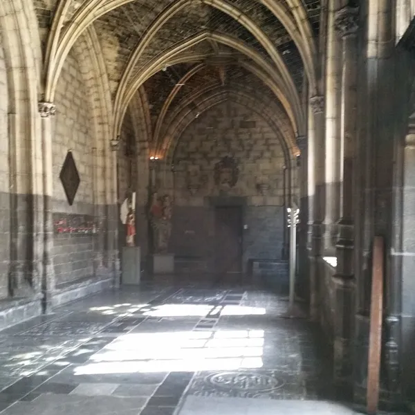Image 8
