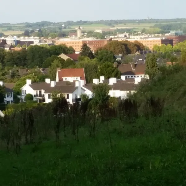 Image 9