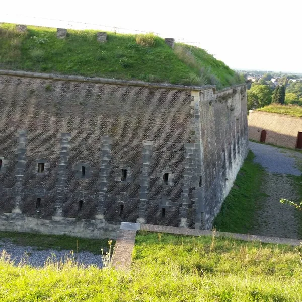 Image 10