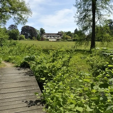 Foto 17