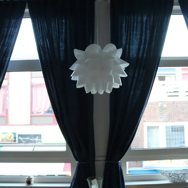 Image 8