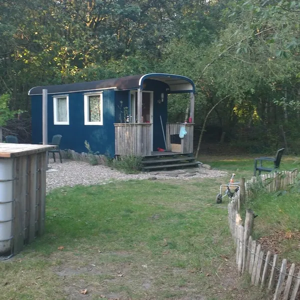 Image 6