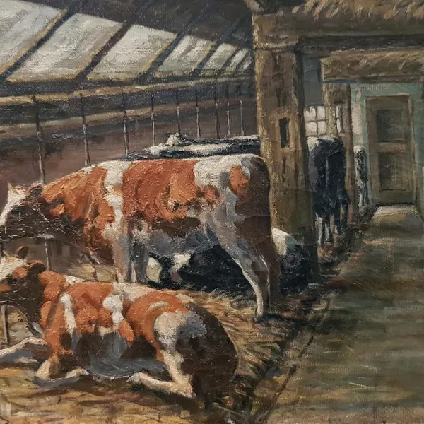 Image 8