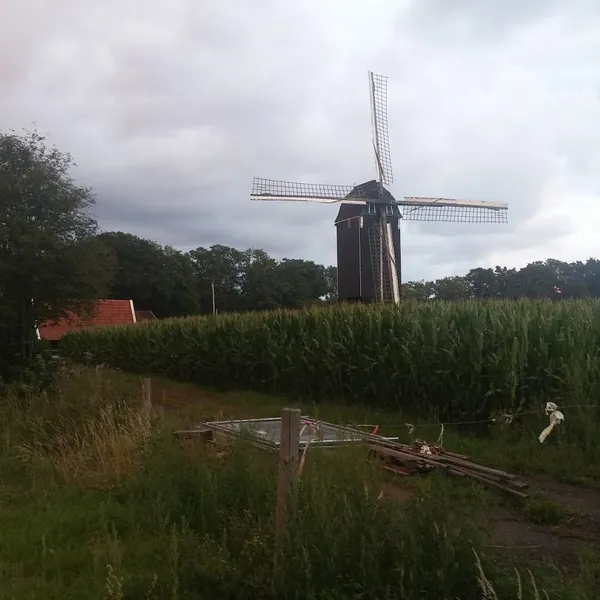 Image 4
