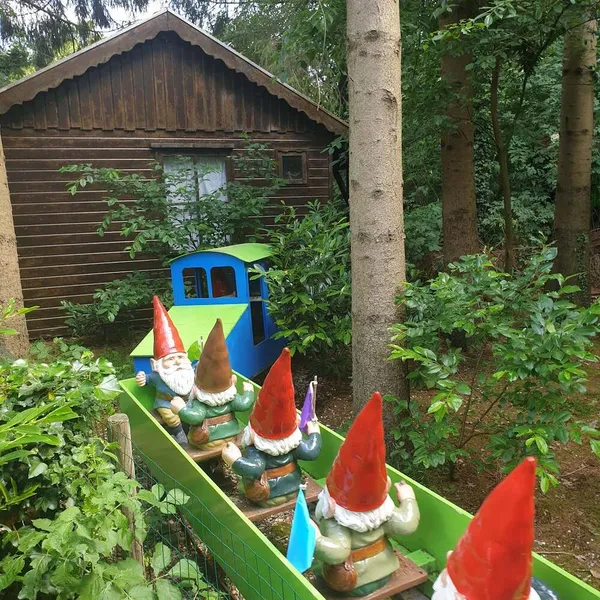Image 6