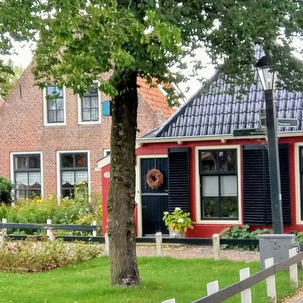 Image 9