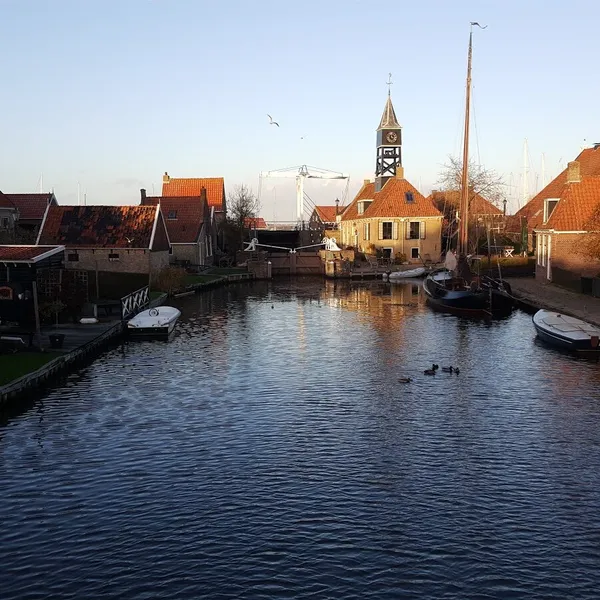 Image 6