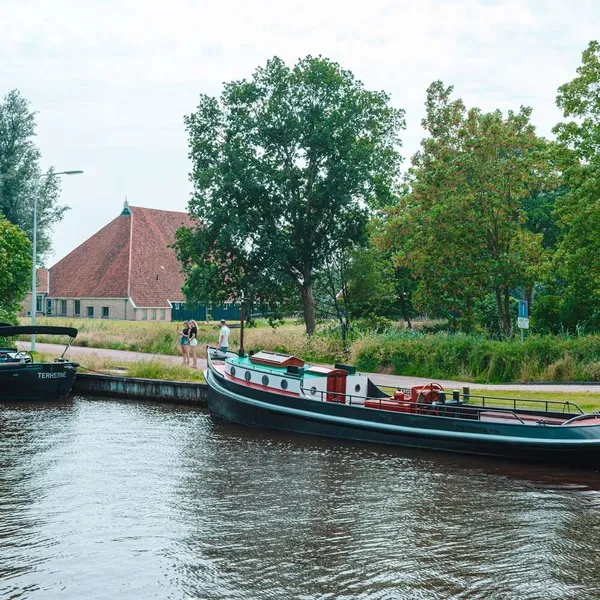 Image 7