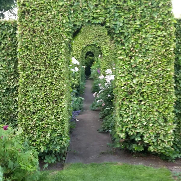 Image 8