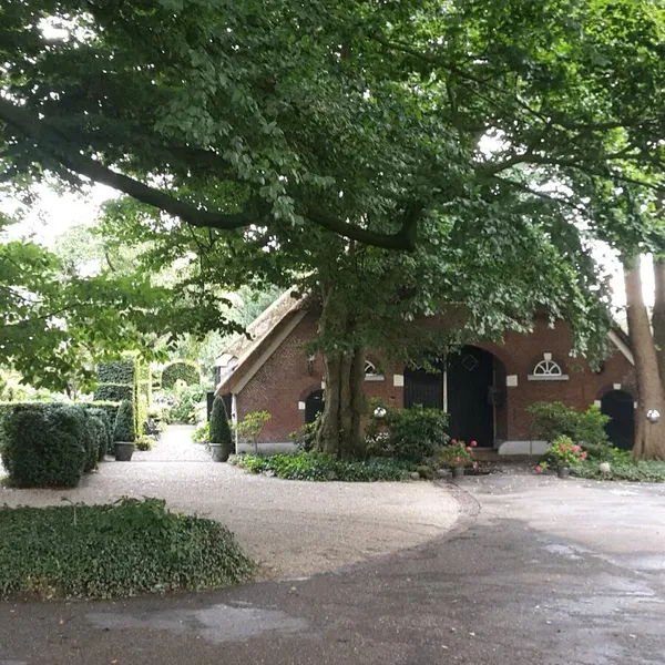 Image 9