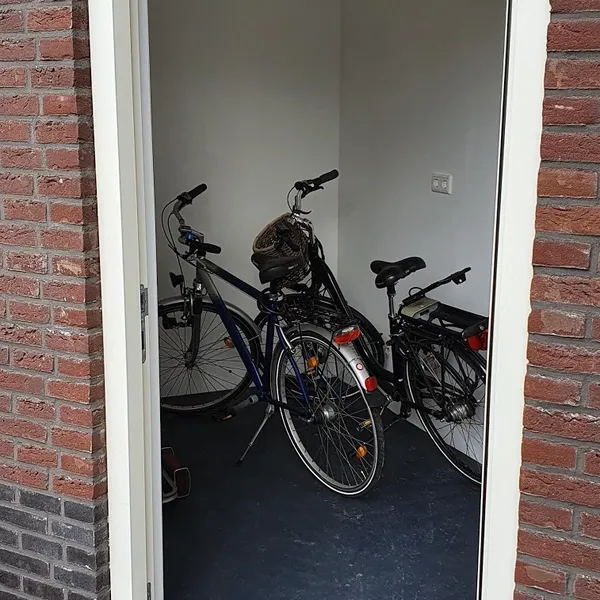 Image 6