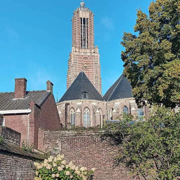 Image 7