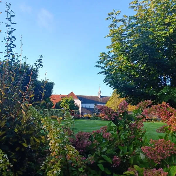 Image 10