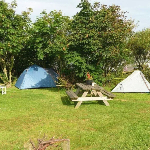 Image 8