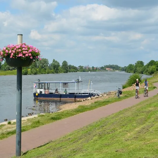 Image 20
