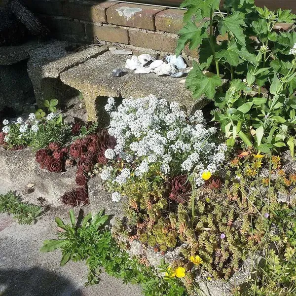 Image 9