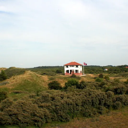 Image 7