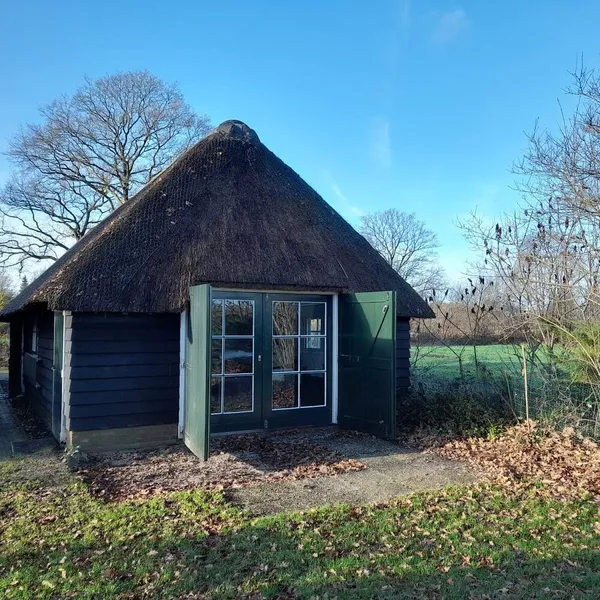 Image 10