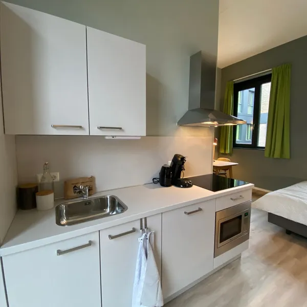Image 5