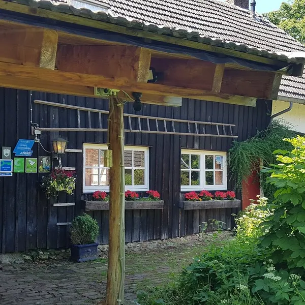 Image 5