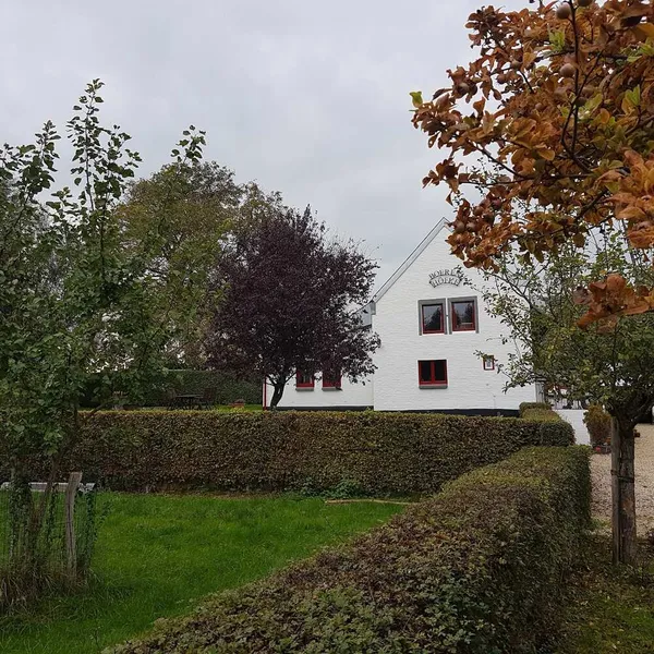 Image 6