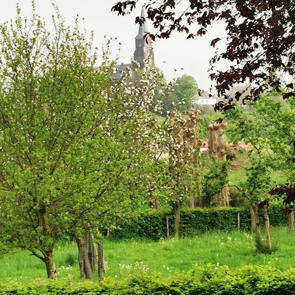 Image 7