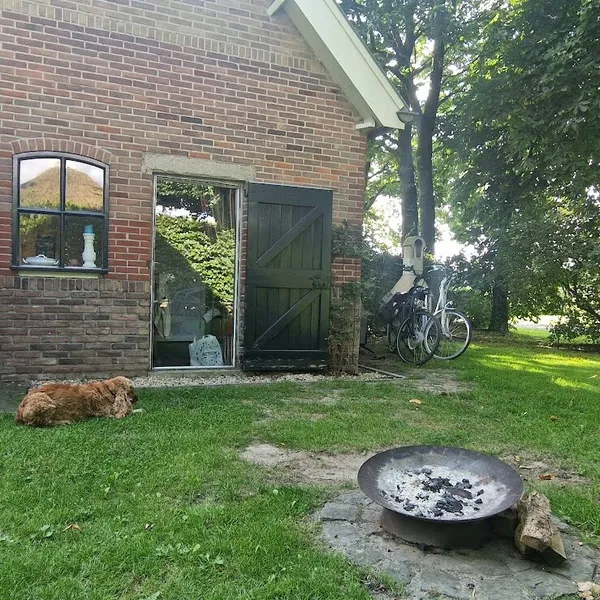Image 9