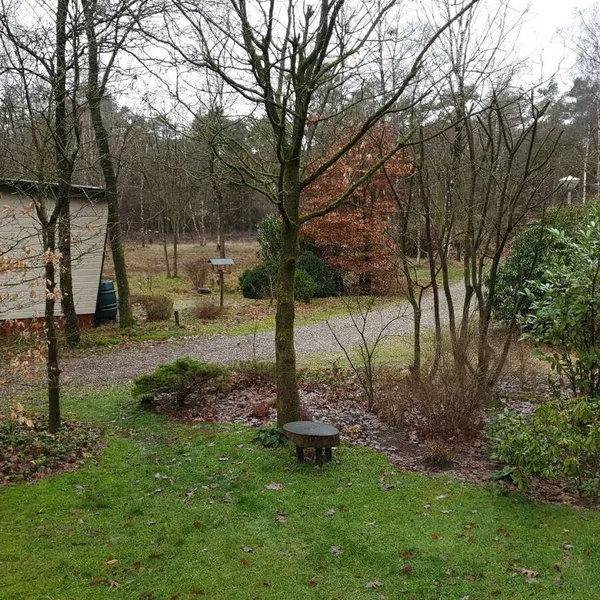 Image 8