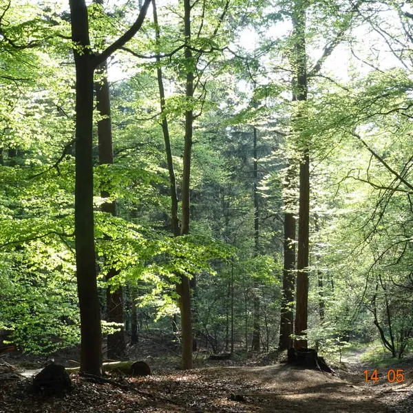 Image 10