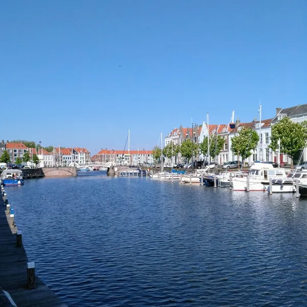 Image 5