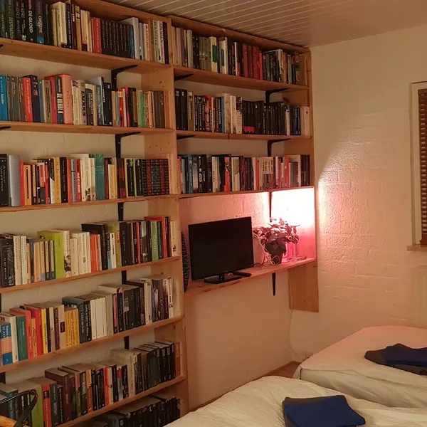 Image 5